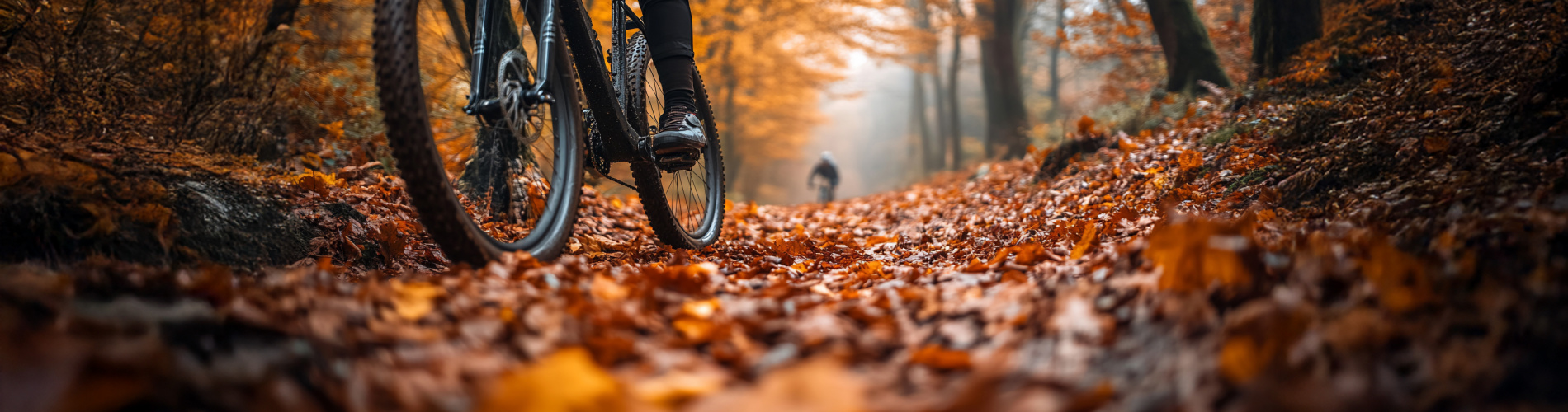 EuroBike